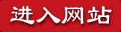 进入网站